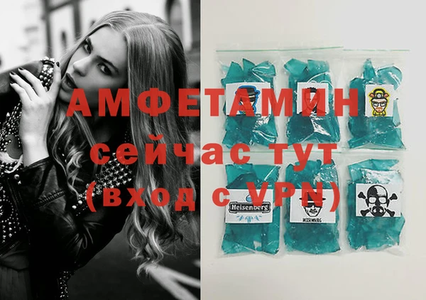 хмурый Аркадак