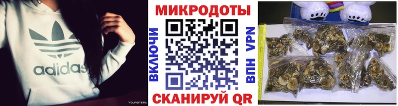 Галлюциногенные грибы MAGIC MUSHROOMS  Гороховец 